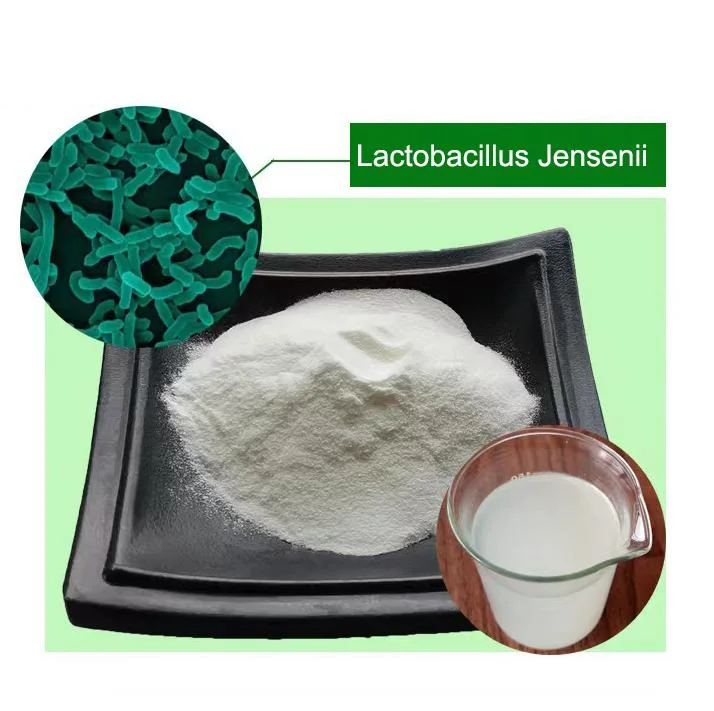 Lactobacillus Jensenii Probiotics Powder