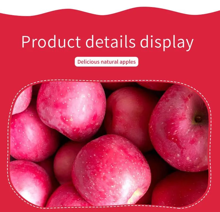 Top Quality Organic Apples Made in Italy "Fresh Apples Fruits Crunchy