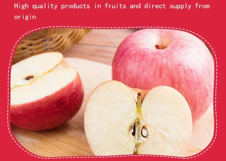 Top Quality Organic Apples Made in Italy "Fresh Apples Fruits Crunchy