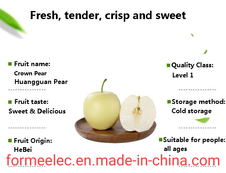 Chinese Fruit Huang Guan Pear Crown Pear