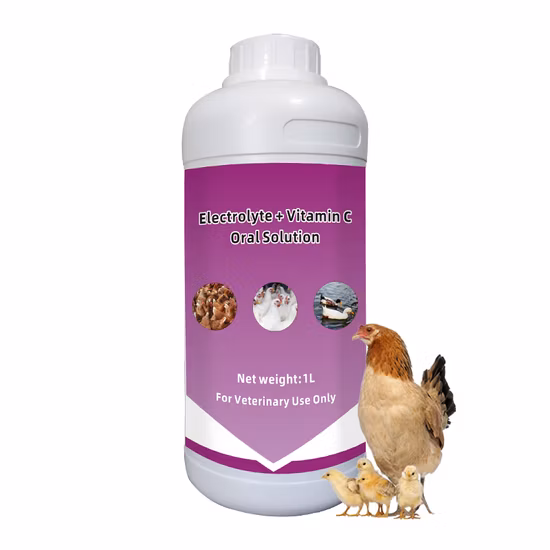 Suppléments pour animaux de qualité alimentaire de haute qualité 10 B probiotiques en gros Bacillus subtilis poudre probiotique d'aquaculture