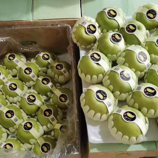 Pommes bio de qualité supérieure fabriquées en Italie 