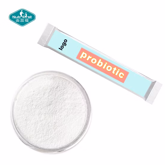 Poudre probiotique de haute qualité de fermentation naturelle Lactobacillus salivarius
