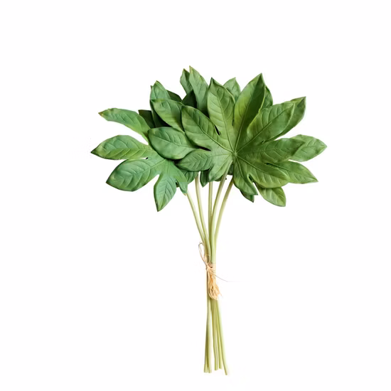 Uspep nutraceutique plante extrait de fines herbes poudre extrait de feuille de Ginkgo Biloba