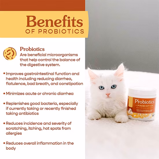 Poudre de probiotiques de colostrum de supplément de soins de santé pour l'OEM de chats et de chiens