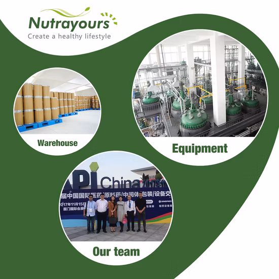 Herbes chinoises Dang Gui Angelicae Sinensis Radix Herbes crues en angélique chinoise